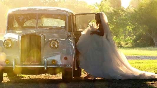 Love Is Blind - Backdrops