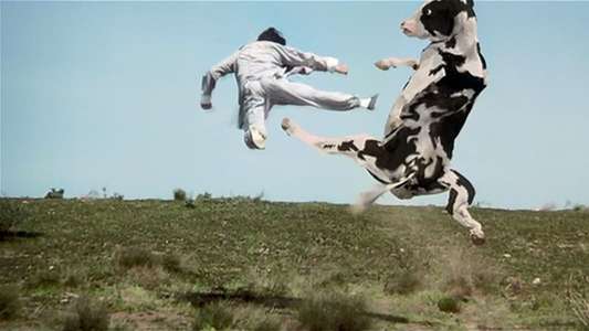 Kung Pow: Enter the Fist - Backdrop