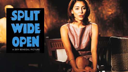 Split Wide Open - Backdrop