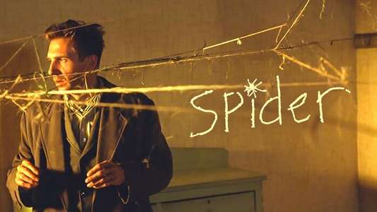 Spider - Backdrop