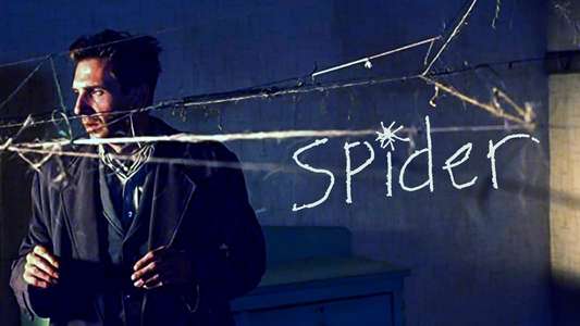 Spider - Backdrop