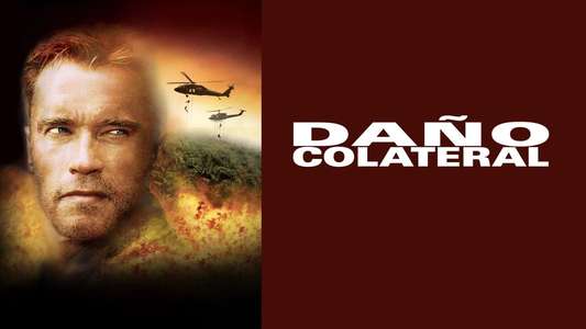 Collateral Damage - Backdrop