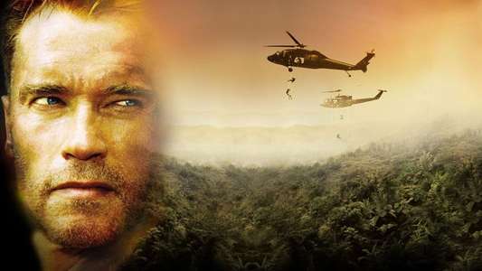 Collateral Damage - Backdrop