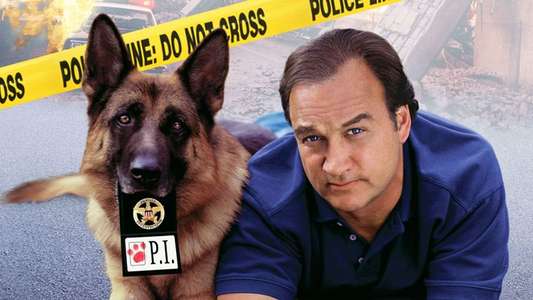 K-9: P.I. - Backdrop