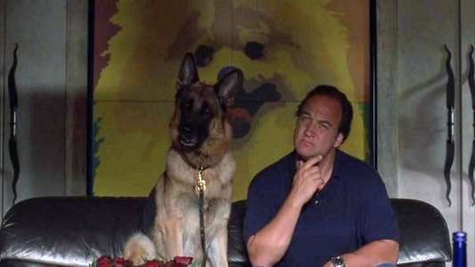 K-9: P.I. - Backdrop