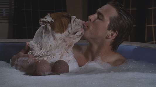 National Lampoon's Van Wilder - Backdrop