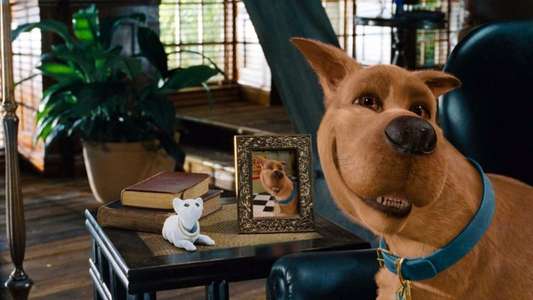 Scooby-Doo - Backdrop