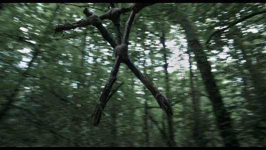Curse of the Blair Witch - Backdrop