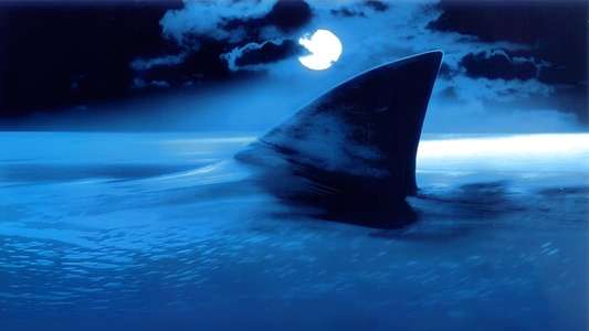 Shark Attack - Backdrop
