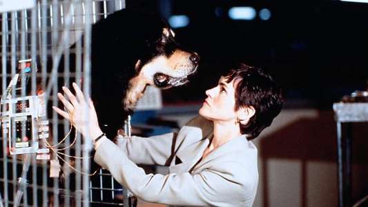 Man's Best Friend - Backdrop