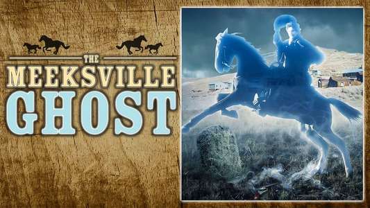 The Meeksville Ghost - Backdrop