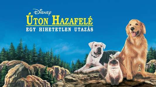 Homeward Bound: The Incredible Journey - Backdrop