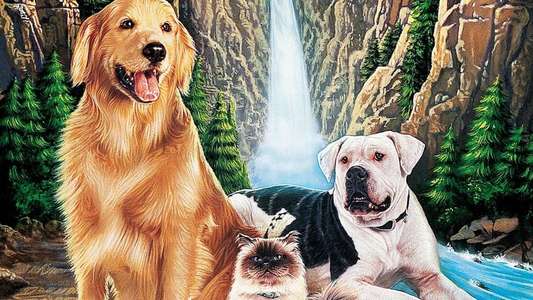 Homeward Bound: The Incredible Journey - Backdrop