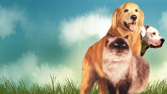 Homeward Bound: The Incredible Journey - Backdrop