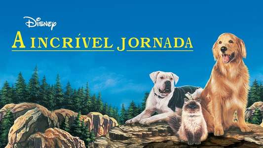 Homeward Bound: The Incredible Journey - Backdrop