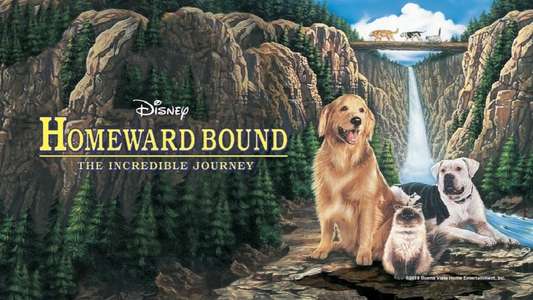 Homeward Bound: The Incredible Journey - Backdrop