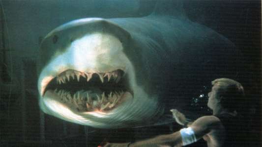 Deep Blue Sea - Backdrop