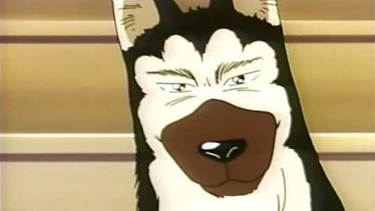 Kennel Tokorozawa - Backdrop