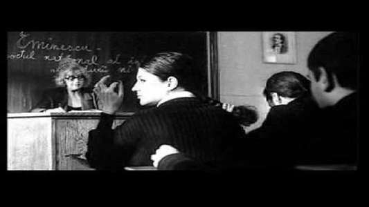 Mihai si Cristina - Backdrop