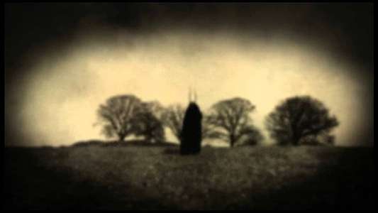 Steven Wilson: Grace for Drowning - Backdrop