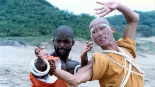 Shaolin Dolemite - Backdrop