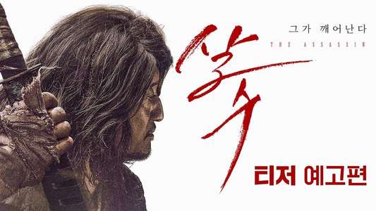 The Assassin - Backdrops