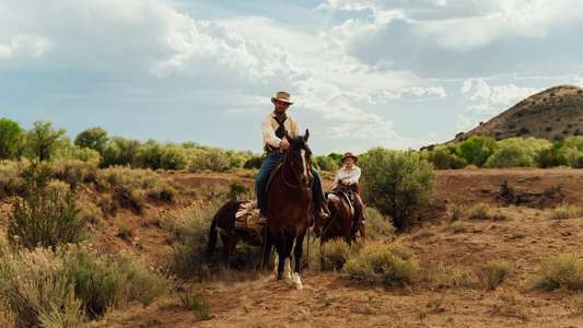 Two Sinners and a Mule - Backdrops