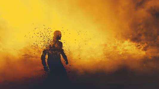 The Beekeeper - Backdrops