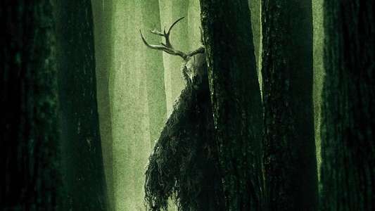 Wrong Turn - Backdrops