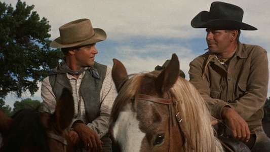 Cowboy - Backdrop