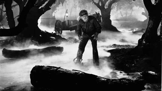 The Wolf Man - Backdrop