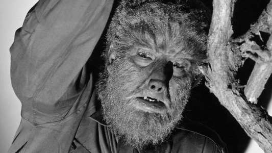 The Wolf Man - Backdrop