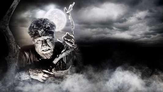 The Wolf Man - Backdrop