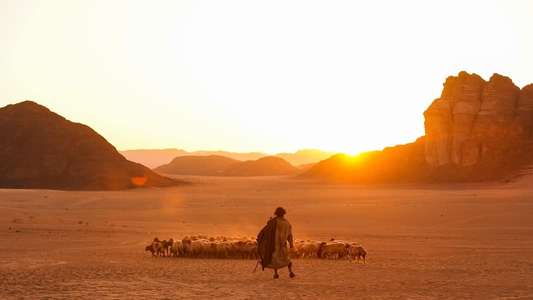 Aadujeevitham - The Goat Life - Backdrops