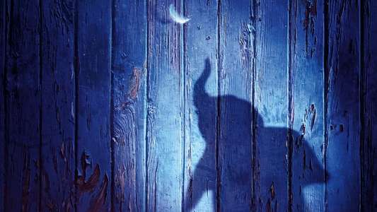 Dumbo - Backdrops