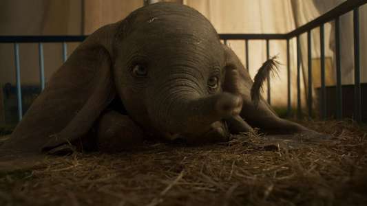 Dumbo - Backdrops