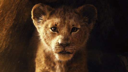The Lion King - Backdrops
