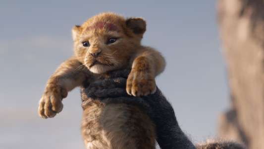 The Lion King - Backdrops