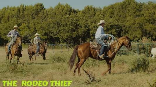The Rodeo Thief - Backdrop