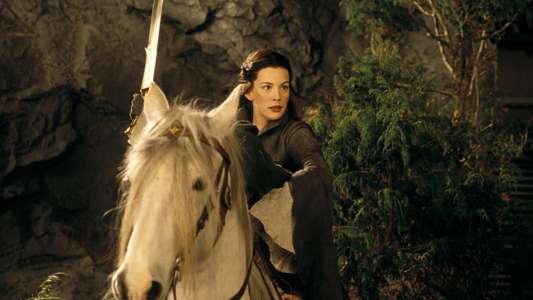 The Lord of the Rings: The Fellowship of the Ring - Backdrops