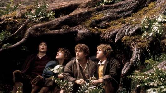 The Lord of the Rings: The Fellowship of the Ring - Backdrops