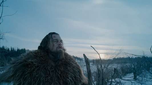 The Revenant - Backdrop