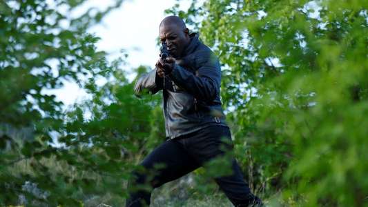 Vivegam - Backdrops