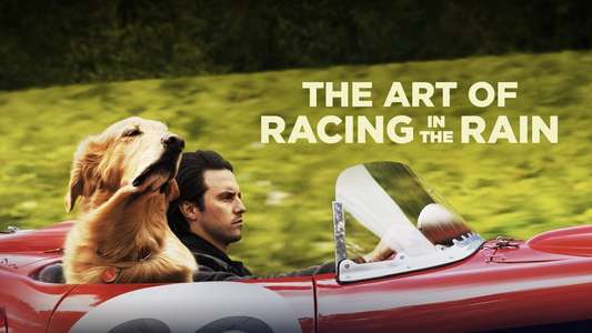 The Art of Racing in the Rain - Backdrops