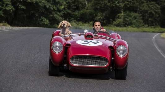 The Art of Racing in the Rain - Backdrops
