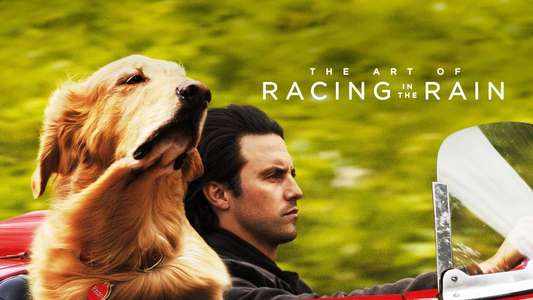 The Art of Racing in the Rain - Backdrops