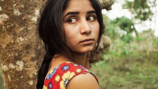 Bulbul Can Sing - Backdrops
