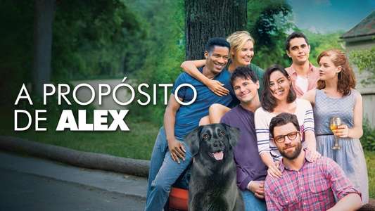 About Alex - Backdrop