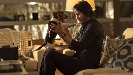 John Wick - Backdrop