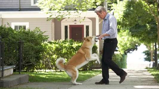 Hachi: A Dog's Tale - Backdrops